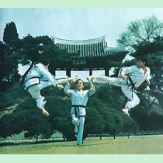 Condensed Encyclopedia of Taekwon-Do