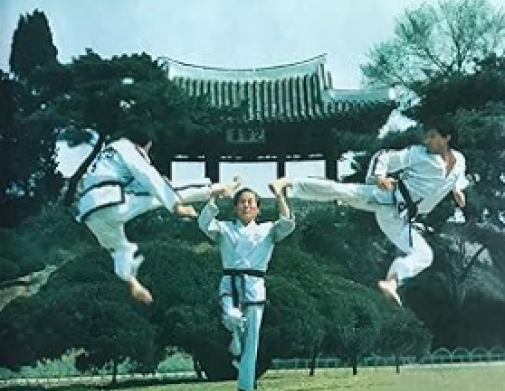 Condensed Encyclopedia of Taekwon-Do