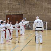 Taekwon-Do students punching in lines