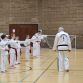 Taekwon-Do students punching in lines