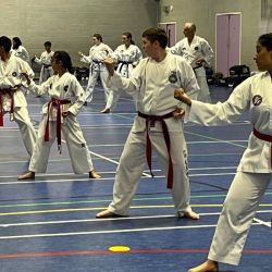 BTF National Training July 2025