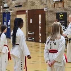 Taekwon-Do students punching in lines