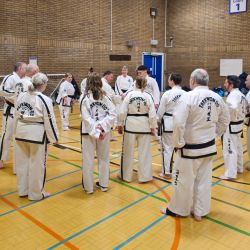 Taekwon-Do students punching in lines