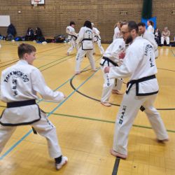 Taekwon-Do students punching in lines