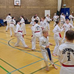 Taekwon-Do students punching in lines