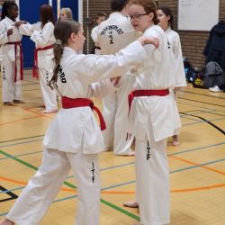 Taekwon-Do students punching in lines