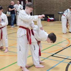 Taekwon-Do students punching in lines