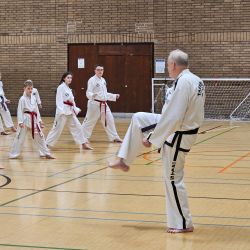 Taekwon-Do students punching in lines