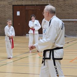 Taekwon-Do students punching in lines