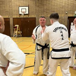 Taekwon-Do students punching in lines