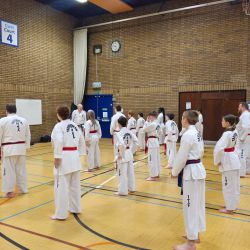 Taekwon-Do students punching in lines