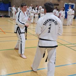 Taekwon-Do students punching in lines