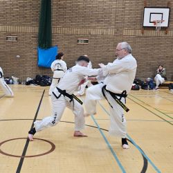 Taekwon-Do students punching in lines
