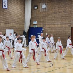 Taekwon-Do students punching in lines