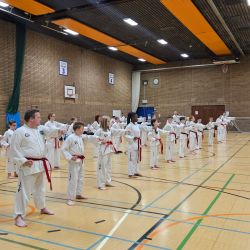 Taekwon-Do students punching in lines