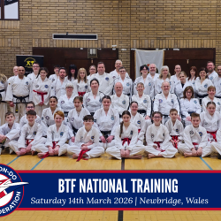 Taekwon-Do students punching in lines