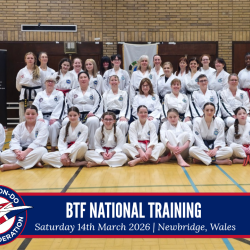 Taekwon-Do students punching in lines