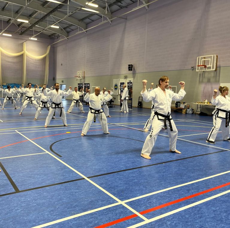 BTF Taekwon-Do Technical Training July 2025