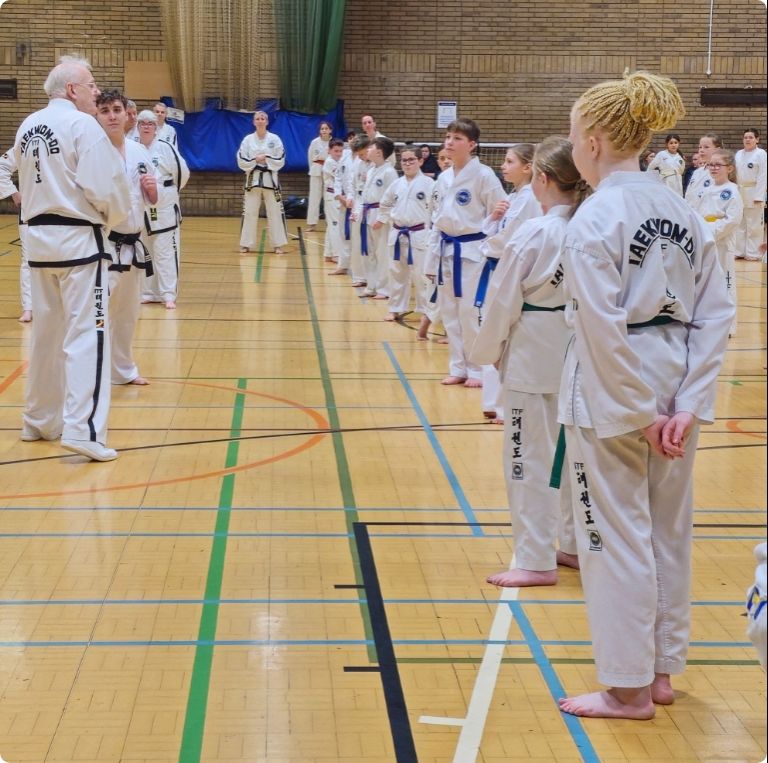 About Taekwon-Do